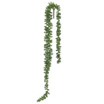 Artikel Künstliche Sukkulenten-Girlande Grün 80 cm Innenbereich