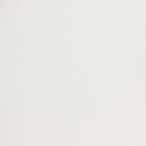 Artikel Tablett mit praktischen Griffen für vielseitige Nutzung im Haushalt und Gastronomie 30cm