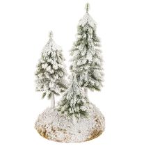 Artikel Schneetannen 29cm mit Moosunterlage für Tisch- und Weihnachtsdekoration