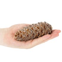 Artikel Tannenzapfenkeramik 14cm 3er-Set grün und braun für Herbstdeko