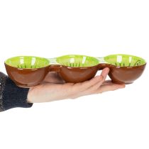 Artikel Keramikschale Kiwi-Motiv 30 cm dreigeteilt Braun-Grün für Snacks und Tapas