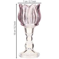 Artikel Teelichtglas Tulpenform 2er-Set Glas Lila Ø7cm H16cm Dekoration