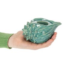Artikel Teelichthalter Meeresschnecke Dekorative Tischkerze Badezimmer Wohnzimmer 16cm