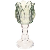 Artikel Teelichthalter Tulpe Glas Teelichtglas Grün Ø7cm H16cm 2St