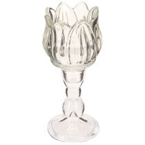 Artikel Teelichthalter Tulpe Teelichtglas mit Fuß Klar Ø7cm H16cm 2St