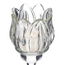 Artikel Kerzenhalter Glas 22 cm mit Blumenform für Tischdekoration und Events