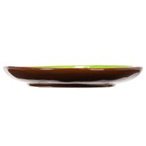 Artikel Teller rund Keramik Kiwi-Motiv grün 16 cm Set mit 2 Stück