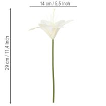 Artikel Künstliche Tigerlilie weiss Bund mit 6 Stück 29 cm für Innenbereich