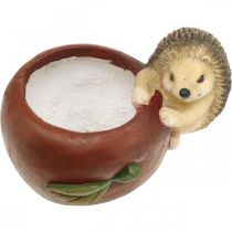 Artikel Pflanzgefäss Keramik Apfel mit Igel Ø16cm H22cm B33cm Herbstdeko Innen und Aussen