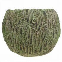 Artikel Übertopf aus Beton Antik-Look Grün, Braun, Ø13cm