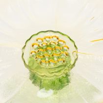 Artikel Glas-Dekoteller mit Fuss Gelb-Blume für Festliche Dekoration Ø15cm
