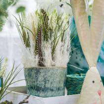 Artikel Traubenhyazinthen im Bund Weiß 30cm 15 St