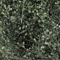 Artikel Trockenblumen Deko-Kranz Grün Metallic Lepidium Ø33cm – Moderne Eleganz für Wand & Tisch