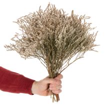 Artikel Trockenblume Strandflieder Bund 1 kg Natur für Innenbereich