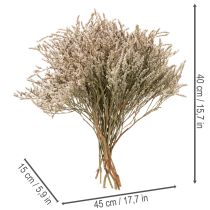 Artikel Trockenblume Strandflieder Bund 1 kg Natur für Innenbereich