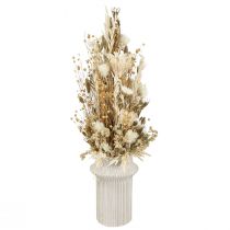 Artikel Trockenblumen Weiß Gold Deko Capblumen Phalaris 30cm 200g