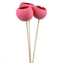 Artikel Trockenblumen Deko Bell Cups am Stiel Pink 42cm 3St