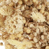 Artikel Trockenblumenkranz gebleicht Deko Kranz Creme Ø25cm