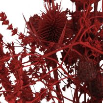 Artikel Trockenblumenstrauß Weinrot Deko Distel 40cm 80g