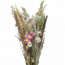 Artikel Trockenblumenstrauß Gras Phalaris Strohblumen Pink 60cm 110g