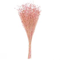 Artikel Trockengras Flachs Hellrosa 50–55 cm 80 g für Tischdekoration und Gestecke