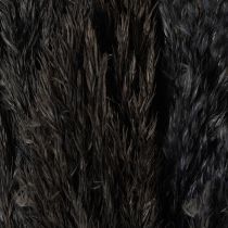 Artikel Trockengras Riedgras Dekozweige Schwarz 70 cm – Set mit 10 Stück