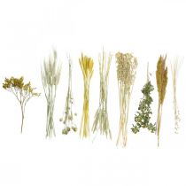 Artikel Trockenblumen-Set Gelb 60cm – Getrocknete Gräser, Blumen und Getreide für Dekoration