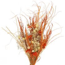 Artikel Deko-Trockenstrauß "Distel & Schafgarbe" Orange-Natur in Gebleicht, 55cm, 150g - Landhaus-Stil