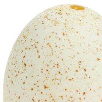 Artikel Puteneier Natur 10 Stück 6,5cm Echte Vogeleier Bastelmaterial Osterdeko