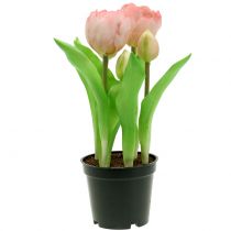 Artikel Kunstblumen im Topf Künstliche Tulpen Rosa Gelb 22,5cm