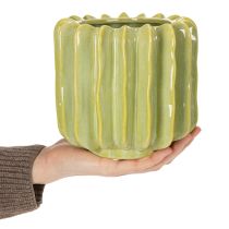 Artikel Keramik Kaktus-Blumentopf 16 cm Grün mit Rillen für Indoor-Dekoration
