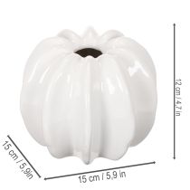 Artikel Kürbis-Keramikvase Weiss 15cm für Wohn- und Herbstdekoration