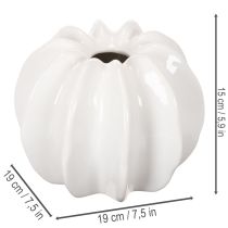 Artikel Kürbis-Dekovase Keramik glänzend weiss 19cm Herbstdekoration