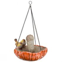 Artikel Hängedekoration Polyresin Pilz mit Vögeln Ø 20cm Orange Herbstdeko Innenbereich