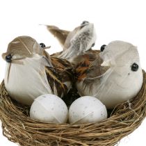 Vogelnest mit Eiern und Vogel 6St