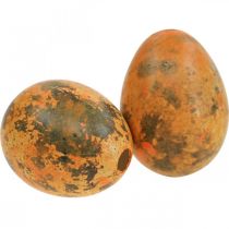 Artikel Ausgeblasene Wachteleier 3cm Orange Apricot 50 Stück für Dekoration