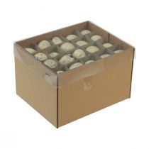 Artikel Wachteleier Deko Ostern Ausgeblasene Eier Creme 3cm 50 St