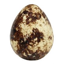 Artikel Ausgeblasene Wachteleier Naturfarben 3cm – 50 Stück für Dekoration