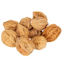 Artikel Walnüsse Naturbraun 4–5 cm 300 g für Dekoration und Bastelarbeiten