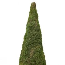 Artikel Weihnachtsbaum aus Moos, Grün, Ø25 cm, Höhe 70 cm