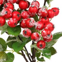 Artikel Weihnachtszweige mit roten Beeren, Winterdeko, Scheinbeere Rot beschneit L58cm