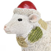Artikel Weihnachtsfiguren Schaf mit Mütze und Schal L16cm 2 St