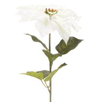 Artikel Weisser künstlicher Weihnachtsstern mit Drahtstiel 65cm, 2 Stück
