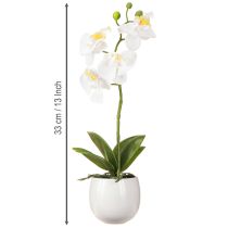 Artikel Weisse Kunstorchidee Phalaenopsis im Keramiktopf H33 cm