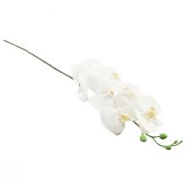 Artikel Weiße Orchidee Künstlich Phalaenopsis Real Touch 85cm