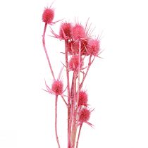 Artikel Wilde Karde Trockendeko Rosa Disteln 53cm 10 Köpfe