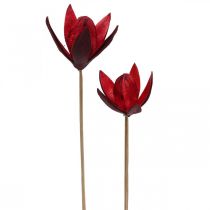 Artikel Wildlilie am Stiel Rot Ø6,5cm 35cm 45St
