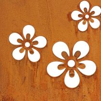 Artikel Willkommensschild Metallschild Edelrost Blumen 40x15cm