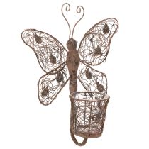 Artikel Windlicht Wanddeko Schmetterling Metall Rostoptik mit Glas 36,5cm