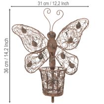 Artikel Windlicht Wanddeko Schmetterling Metall Rostoptik mit Glas 36,5cm
